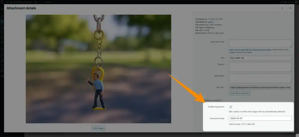 The option to set the expiration date for an image in the Media Expirator plugin.
